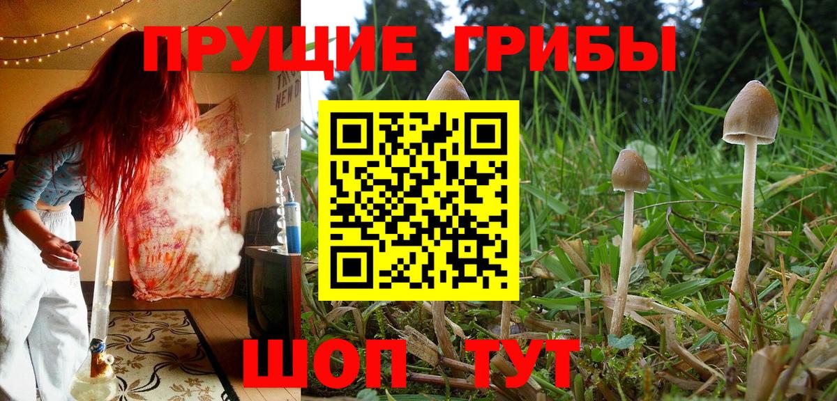 Ливны  Псилоцибиновые грибы прущие грибы  Вход с VPN 