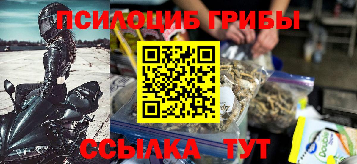 МЕФ Ливны